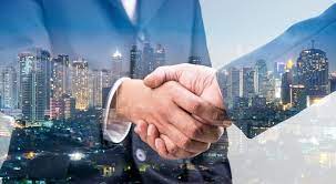 Information Technology Consultant